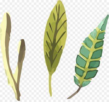 Illustration Design Image Portable Network Graphics Leaf -  