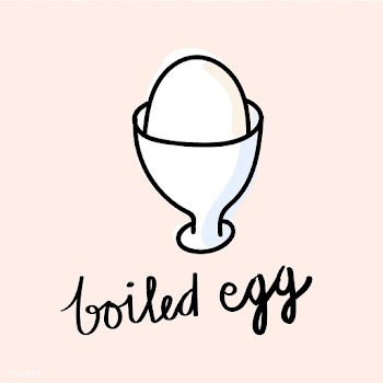 Illustration drawing style of boiled egg | Free stock vector - 60183