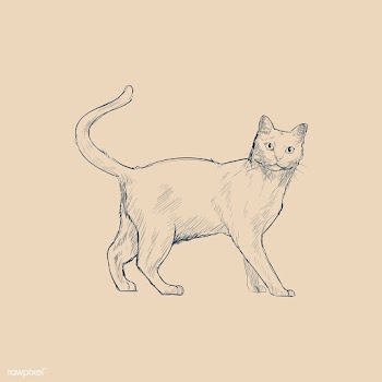 Illustration drawing style of cat | Free stock vector - 264577