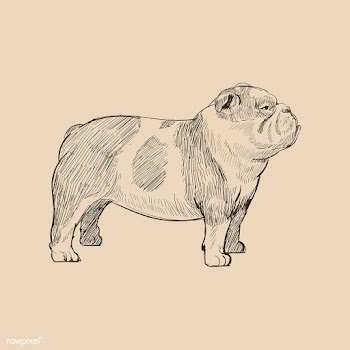 Illustration drawing style of dog | Free stock vector - 264602