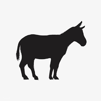Illustration drawing style of donkey | Free stock vector - 264527