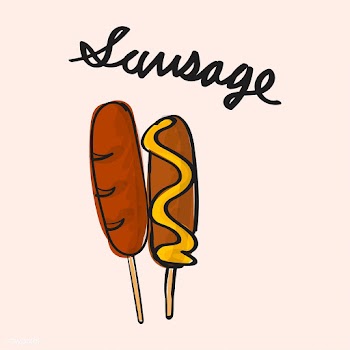 Illustration drawing style of hot dog | Free stock vector - 60135