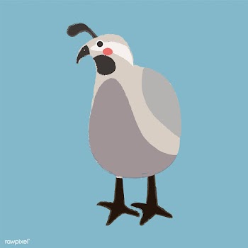 Illustration drawing style of wildlife | Free stock vector - 44648