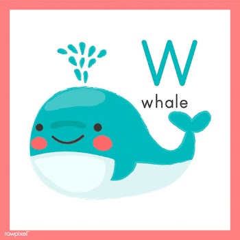 Illustration drawing style of wildlife | Free stock vector - 44711