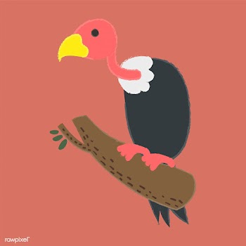 Illustration drawing style set of wildlife | Free stock vector - 44595