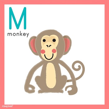 Illustration drawing style set of wildlife | Free stock vector - 44619