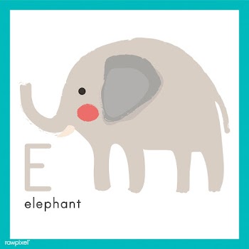 Illustration drawing style set of wildlife | Free stock vector - 44621