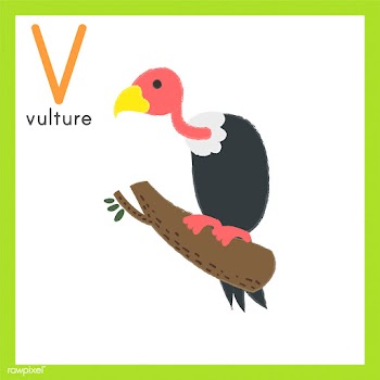 Illustration drawing style set of wildlife | Free stock vector - 44628