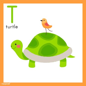 Illustration drawing style set of wildlife | Free stock vector - 44634