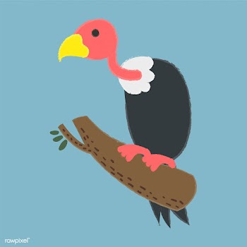 Illustration drawing style set of wildlife | Free stock vector - 44644