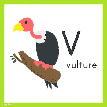 Illustration drawing style set of wildlife | Free stock vector - 44669