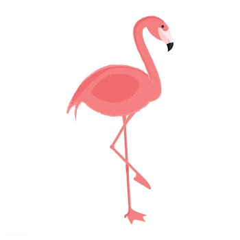 Illustration drawing style set of wildlife | Free stock vector - 44689