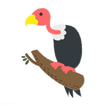 Illustration drawing style set of wildlife | Free stock vector - 44694