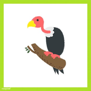 Illustration drawing style set of wildlife | Free stock vector - 44715