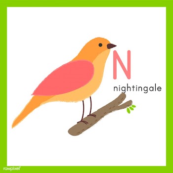 Illustration drawing style set of wildlife | Free stock vector - 44739