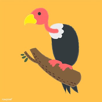 Illustration drawing style set of wildlife | Free stock vector - 44744