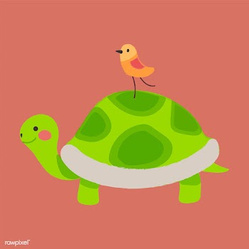 Illustration drawing style set of wildlife | Free stock vector - 44745
