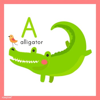 Illustration drawing style set of wildlife | Free stock vector - 44773