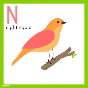 Illustration drawing style set of wildlife | Free stock vector - 44787