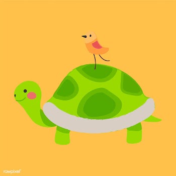 Illustration drawing style set of wildlife | Free stock vector - 44795