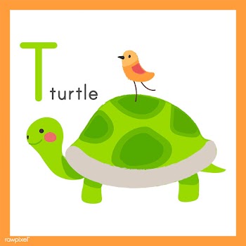 Illustration drawing style set of wildlife | Free stock vector - 44875