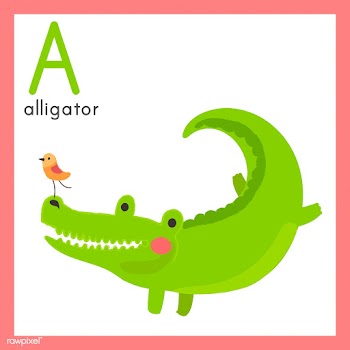 Illustration drawing style set of wildlife | Free stock vector - 44876