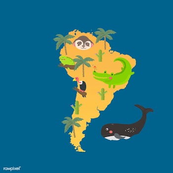 Illustration drawing style set of wildlife ha.. | Free stock vector - 44673