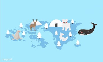 Illustration drawing style set of wildlife ha.. | Free stock vector - 44687