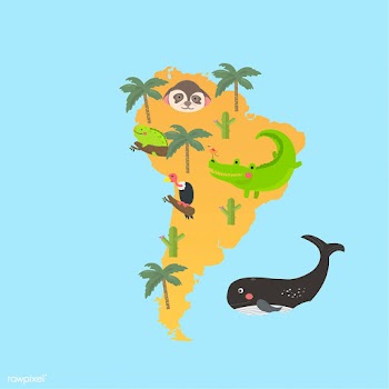 Illustration drawing style set of wildlife ha.. | Free stock vector - 44867
