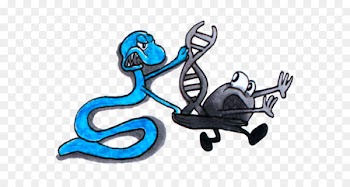 Illustration Fish Clip art Car Product design - fish 