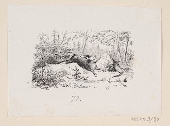 Illustration for "The fir tree" | Free Photo - rawpixel