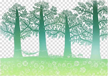 Illustration, forest transparent background PNG clipart