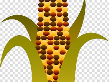 Illustration graphics Free content Harvest, transparent background PNG clipart