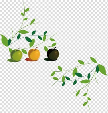 Illustration Illustration, Apple leaves transparent background PNG clipart