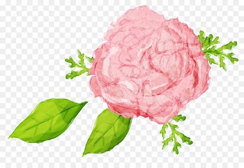 Illustration Image Portable Network Graphics Download Graphic design - carnation flower 