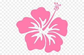 Illustration Image Rosemallows Clip art Home Decor Decals -  