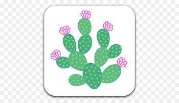 Illustration Image Succulent plant Cacti and Succulents Green - bring 