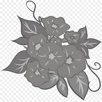 Illustration Japanese morning glory Floral design Petal -  