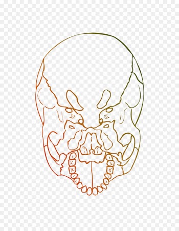 Illustration Jaw Clip art Character Skull -  
