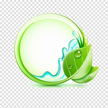 Illustration, Leaves transparent background PNG clipart