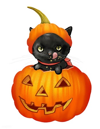 Illustration of a black cat in pumpkin vector.. | Free stock vector - 486645