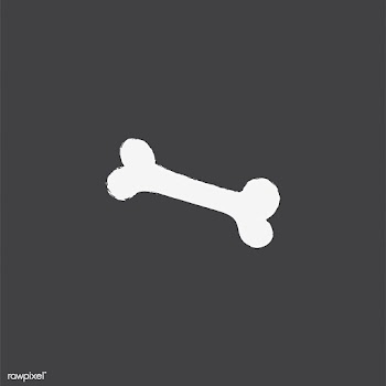 Illustration of a bone | Free stock vector - 60498