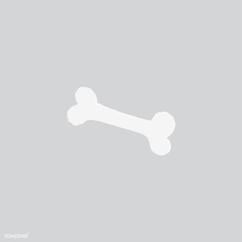 Illustration of a bone | Free stock vector - 60544