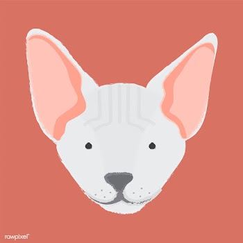 Illustration of a cat's head | Free stock vector - 60396
