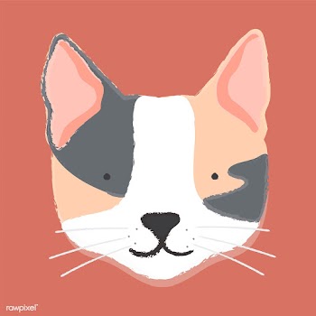 Illustration of a cat's head | Free stock vector - 60397