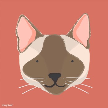 Illustration of a cat's head | Free stock vector - 60398