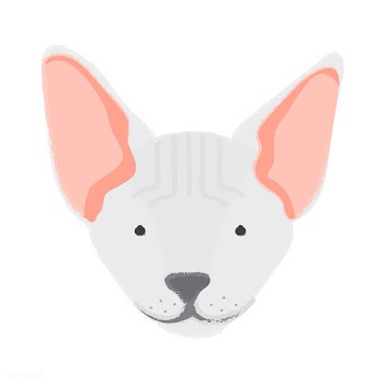 Illustration of a cat's head | Free stock vector - 60660