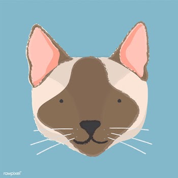 Illustration of a cat's head | Free stock vector - 60664