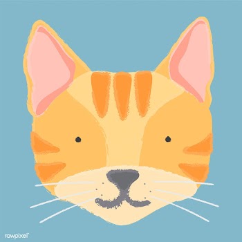 Illustration of a cat's head | Free stock vector - 60692