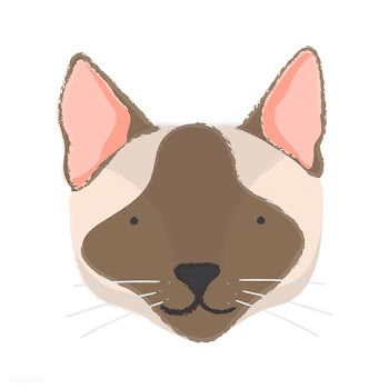 Illustration of a cat's head | Free stock vector - 60694